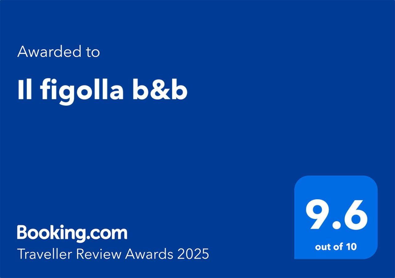 Il Figolla B&B 자프라 외부 사진